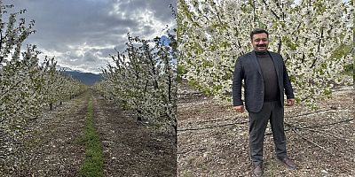 ZİRAİ DON ENDİŞESİ YAŞAYAN ÜRETİCİLER RAHAT NEFES ALDI
